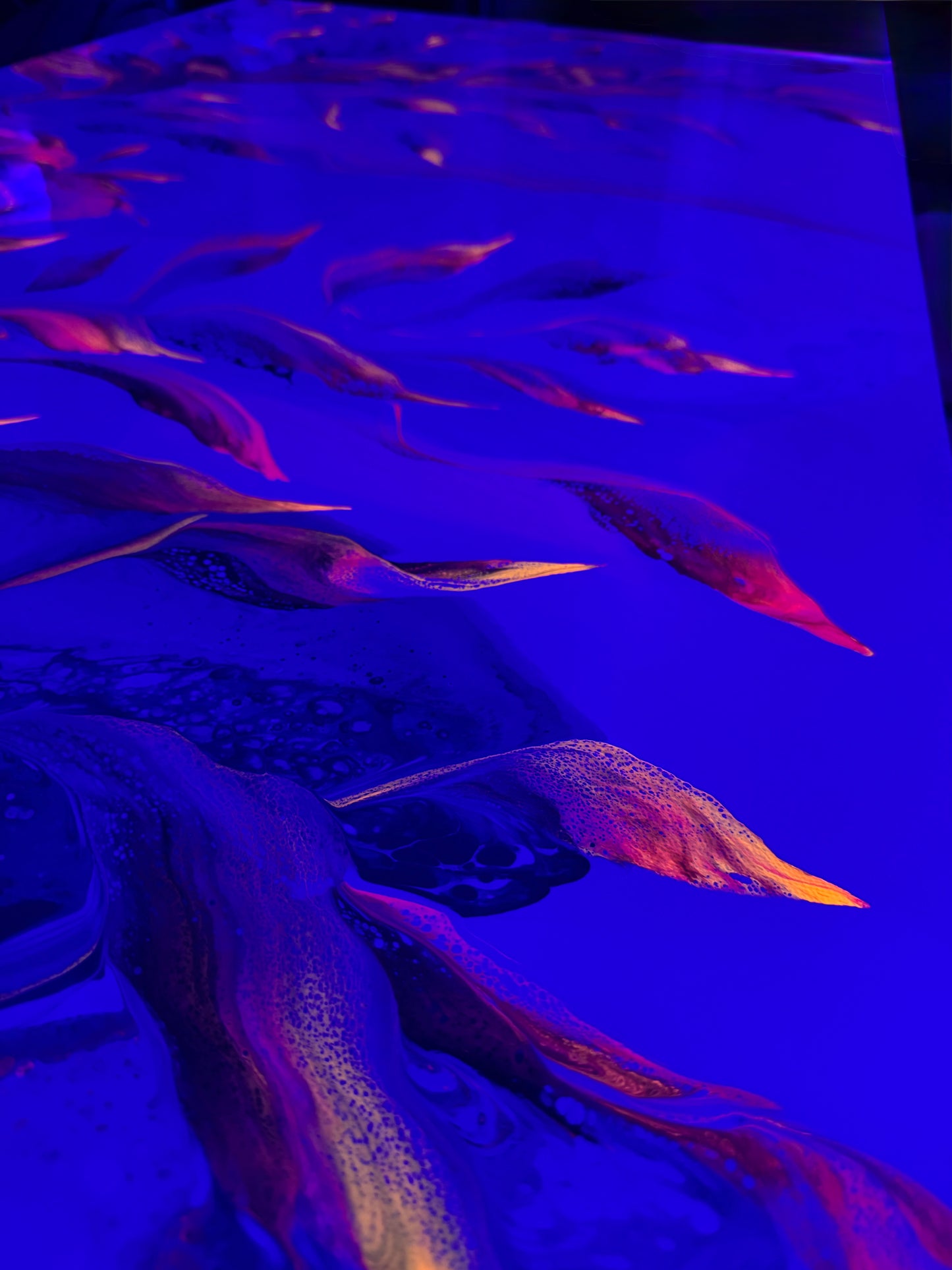 Soaring Through Paradise